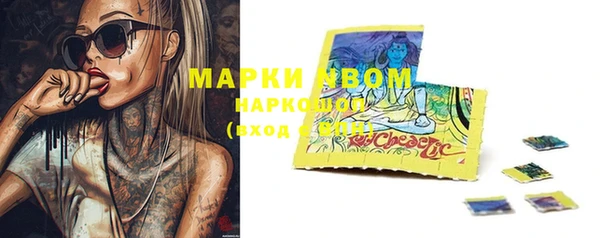 ПСИЛОЦИБИНОВЫЕ ГРИБЫ Абаза