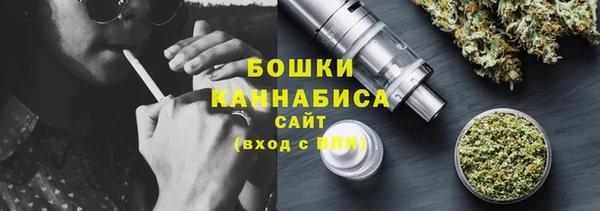 ПСИЛОЦИБИНОВЫЕ ГРИБЫ Абаза