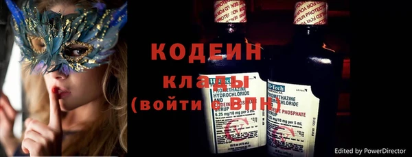 прущие грибы Абинск