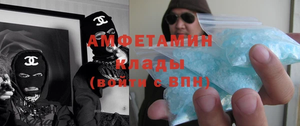 прущие грибы Абинск