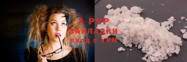 ПСИЛОЦИБИНОВЫЕ ГРИБЫ Абаза