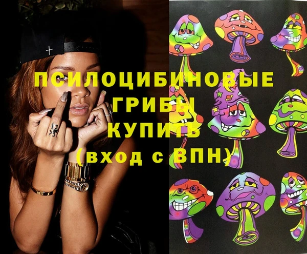 ПСИЛОЦИБИНОВЫЕ ГРИБЫ Абаза