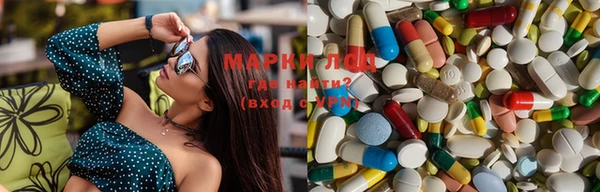 ПСИЛОЦИБИНОВЫЕ ГРИБЫ Абаза