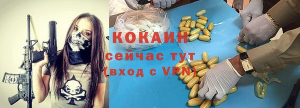 прущие грибы Абинск