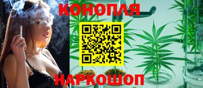 молекула духа Новодвинск