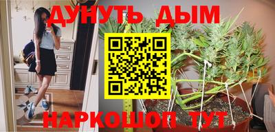 метадон Новозыбков