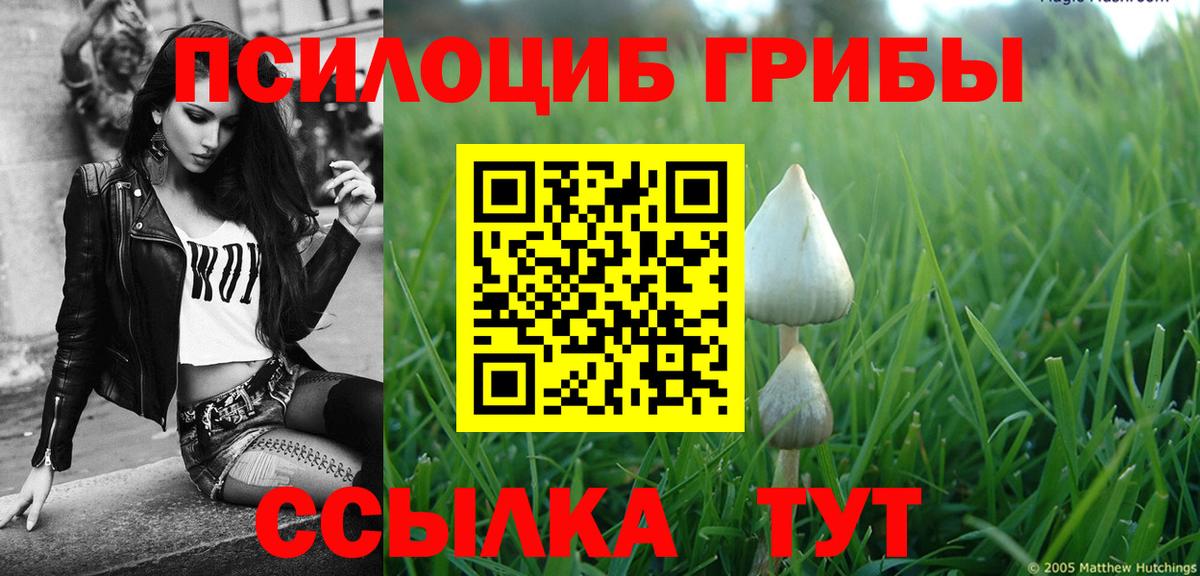 Галлюциногенные грибы MAGIC MUSHROOMS  Вход с VPN  Хасавюрт 