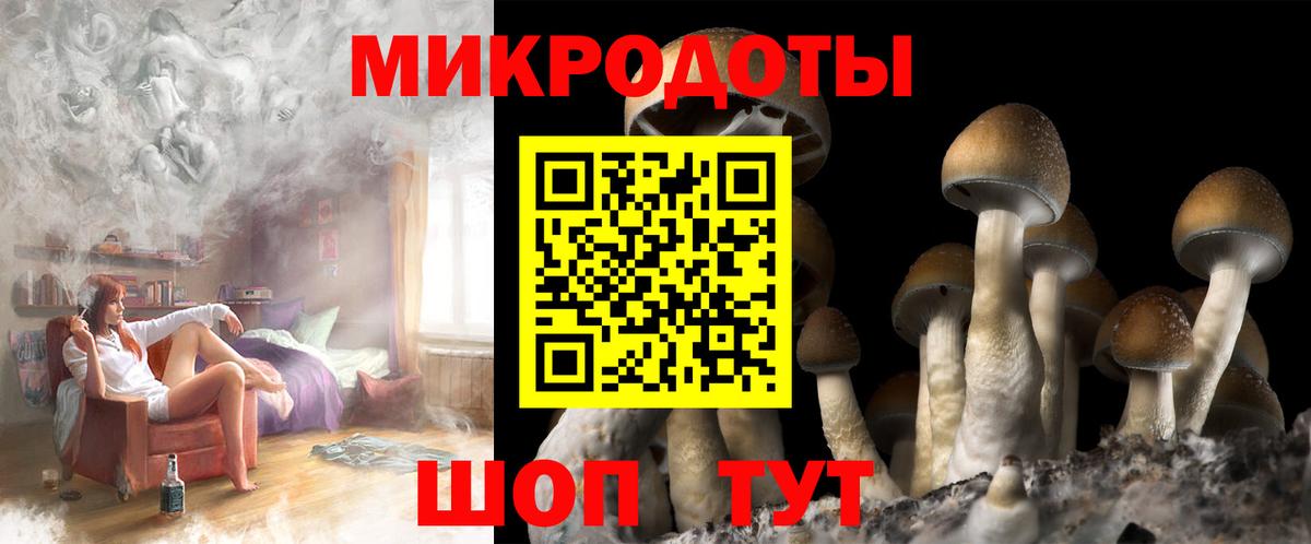 Псилоцибиновые грибы MAGIC MUSHROOMS Хасавюрт